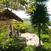 Private deck with hammock